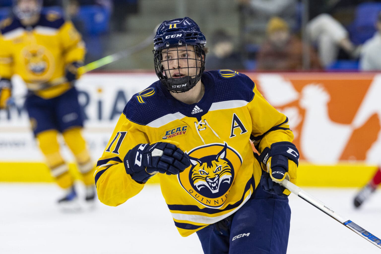 Former Junior Bruin Graf Named ECAC Player Of The Year