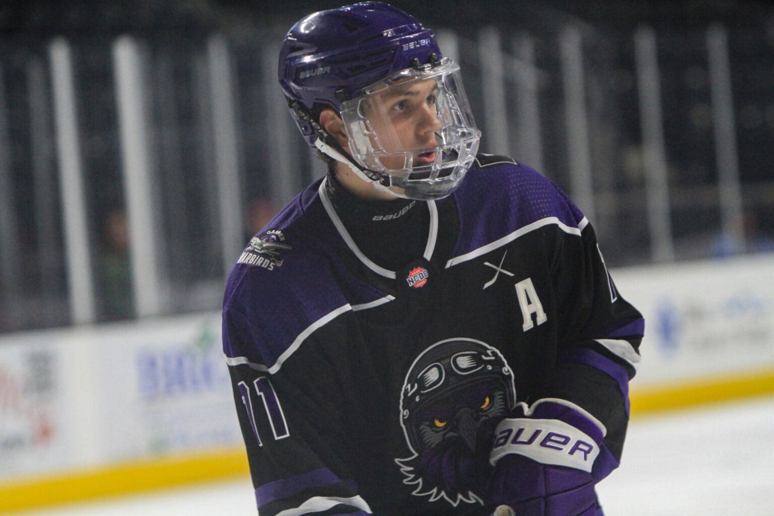 NCDC Roundup: Jan. 25