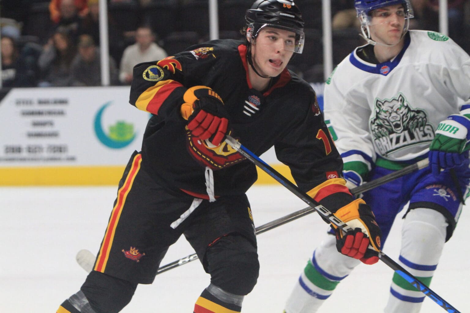 NCDC Roundup: Dec. 20