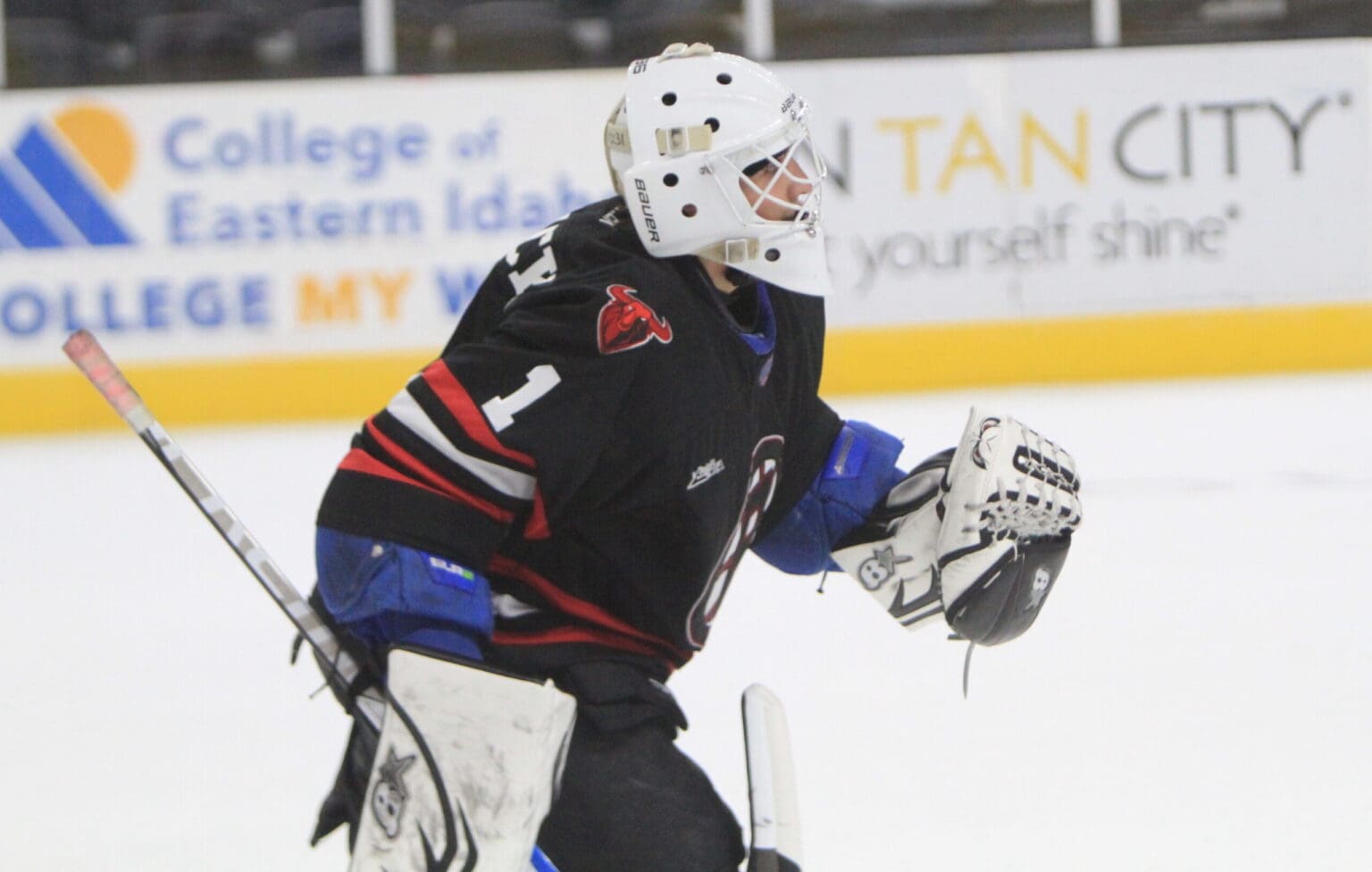 NCDC Roundup: Jan. 17