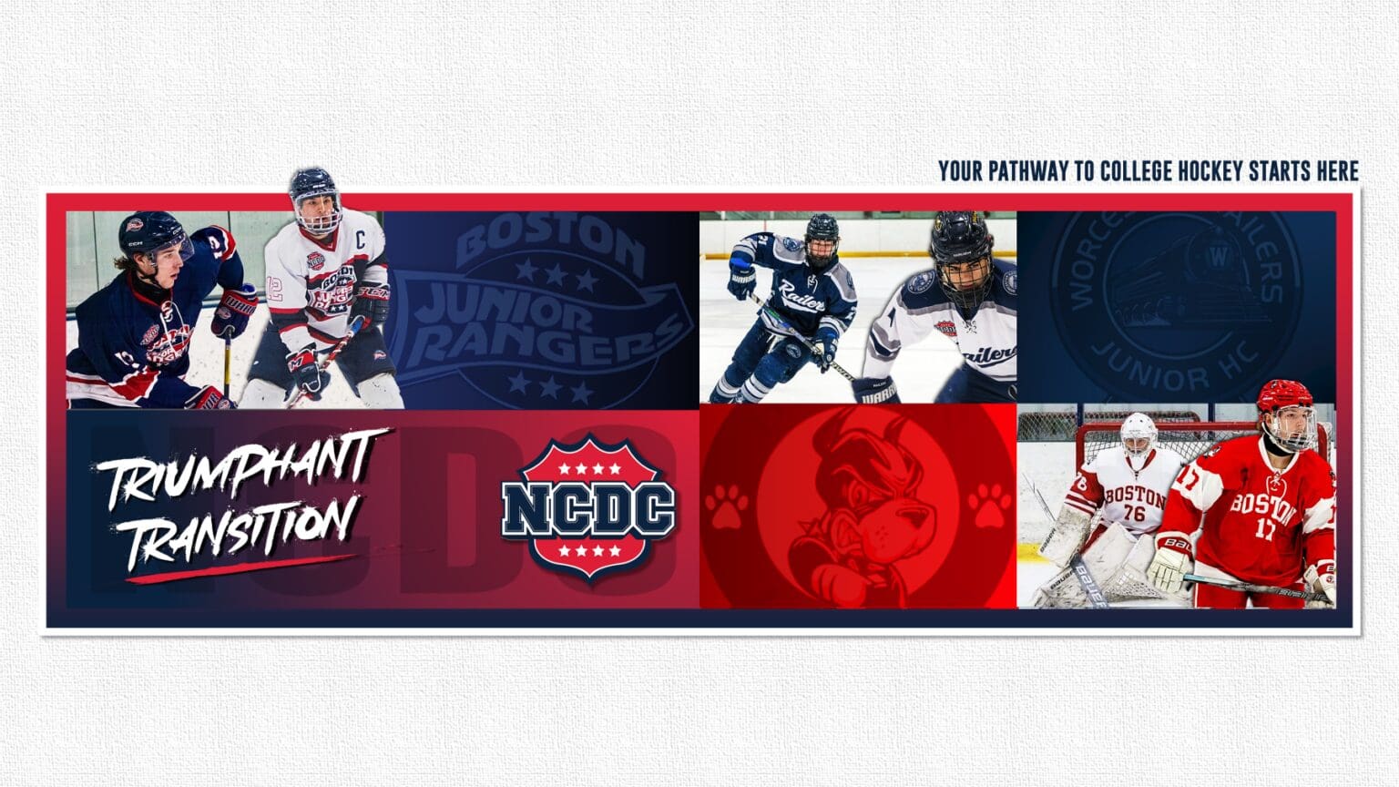 Triumphant Transition: Dogs