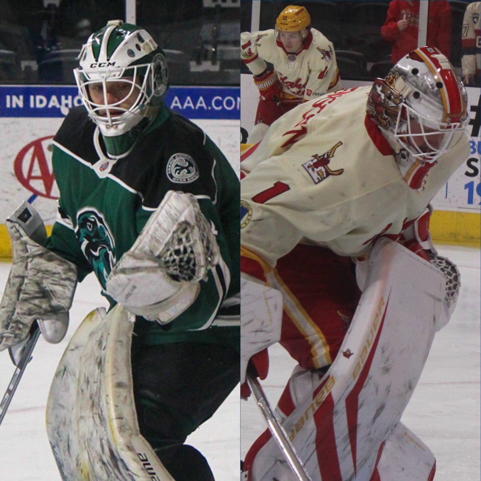 dineen cup recap 1