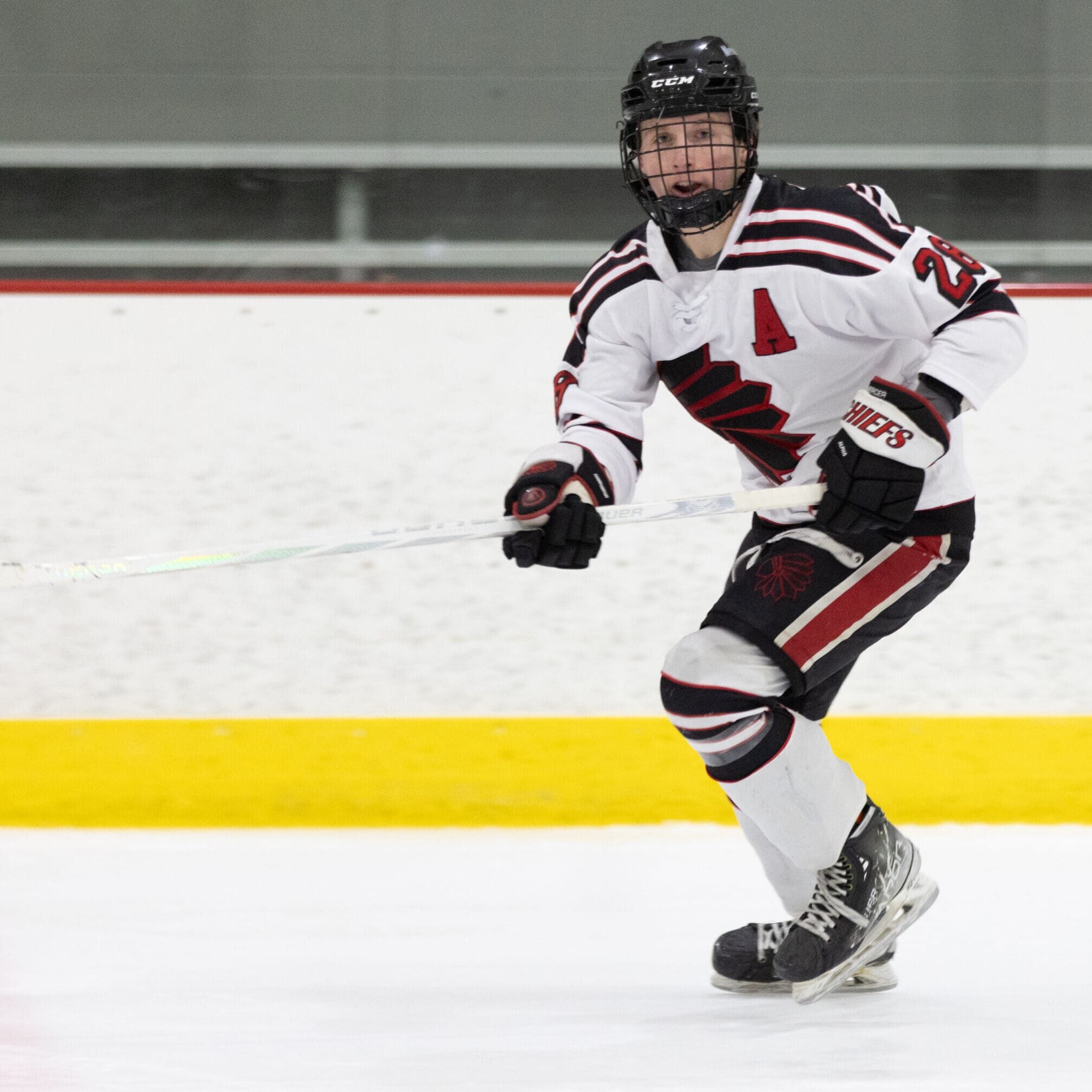 PREMERRose3 PREMERRose3