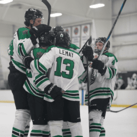 Screenshot 2026-02-15 at 10.45.29 AM