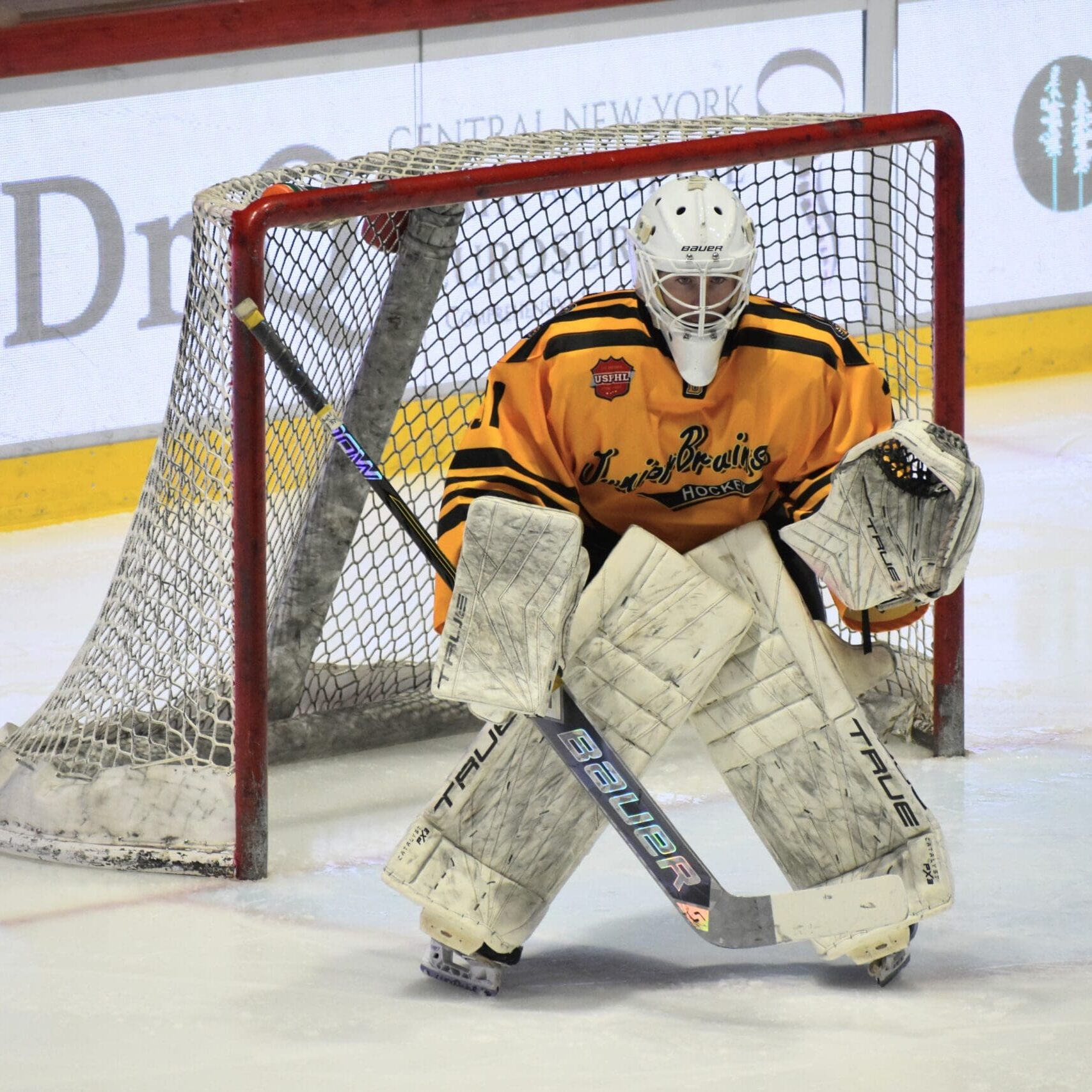 nee action - Nevin Hamilton