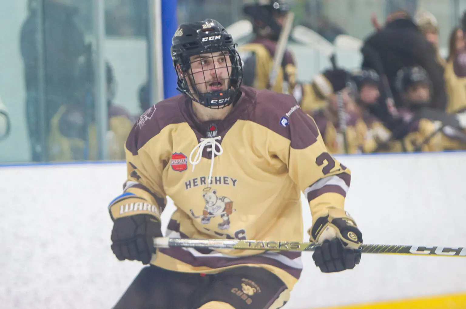USPHL Advancement In Action: Thunder Hockey Club's William Michetti USPHL Advancement In Action: Thunder Hockey Club's William Michetti