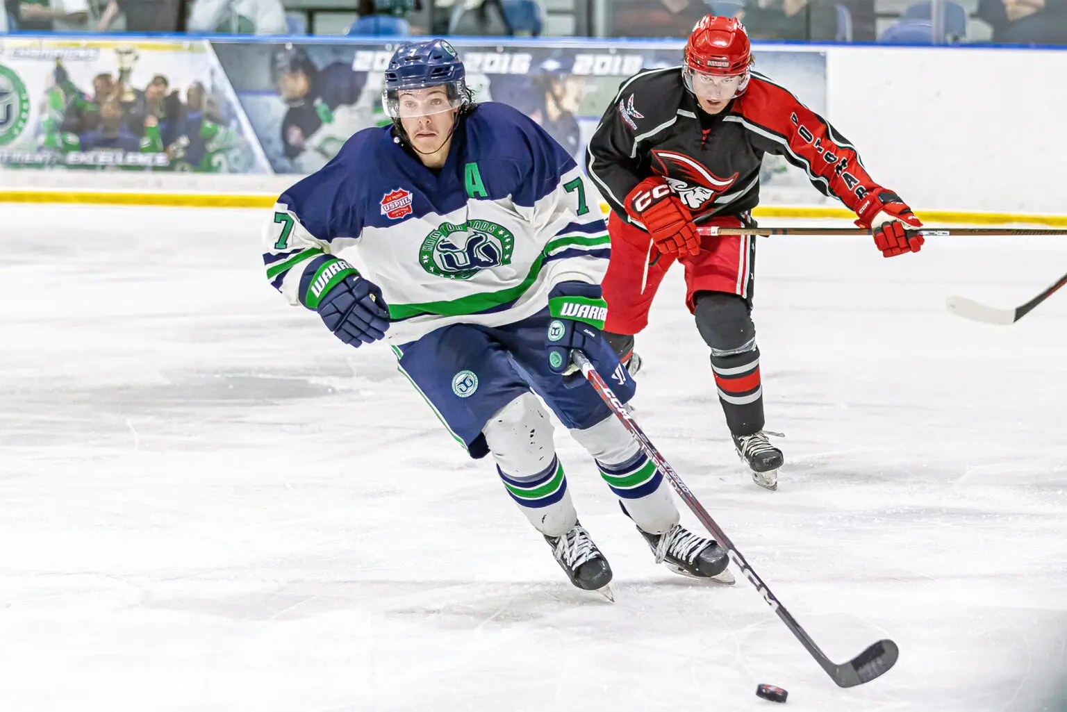 Hampton Roads Whalers_Teubert Hampton Roads Whalers_Teubert