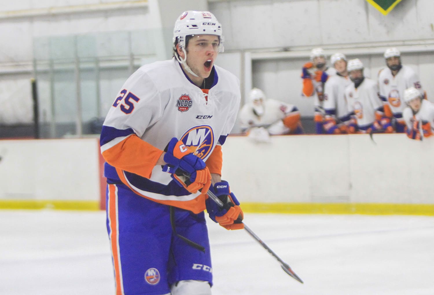 NCDC Roundup: Oct. 11