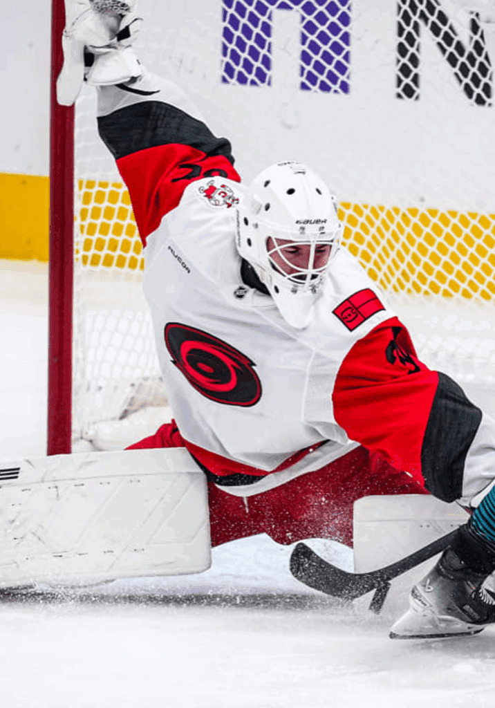 © Josh Lavallee / Carolina Hurricanes