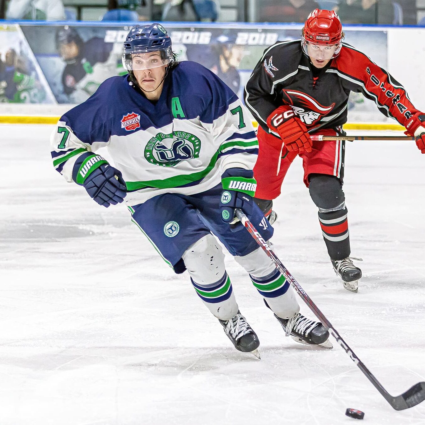Hampton Roads Whalers_Teubert
