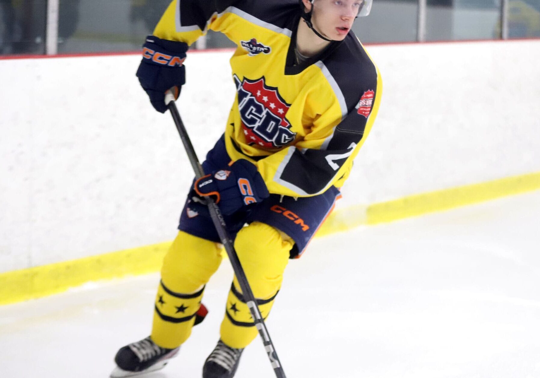 NCDCASGLarsson