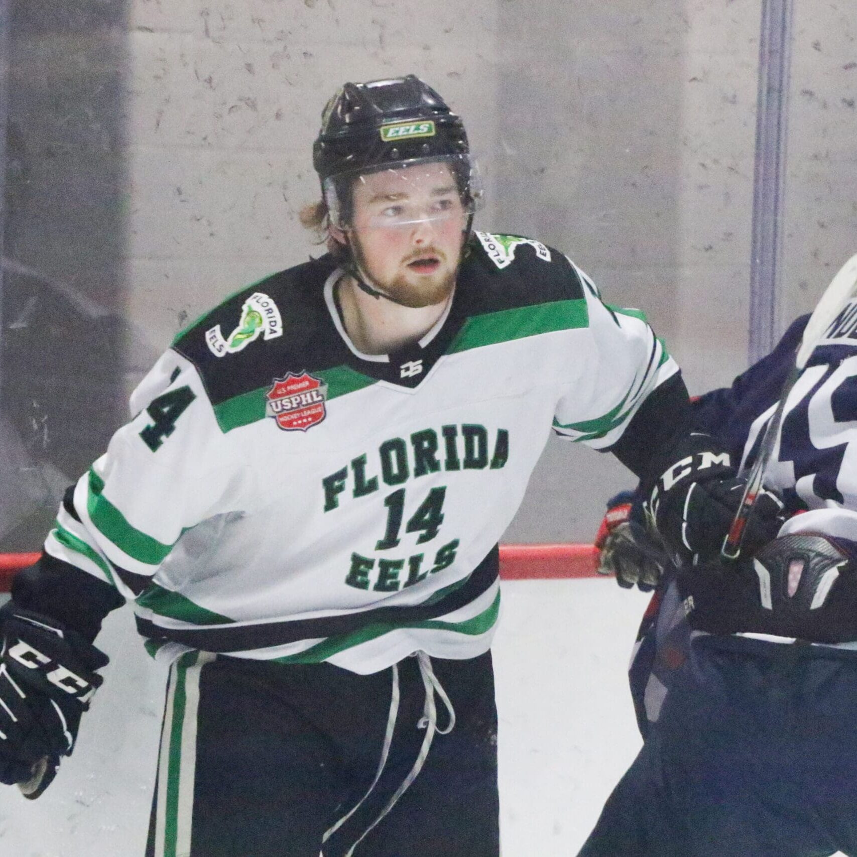 Commitment Profile: Eels' Phillips To Rivier University
