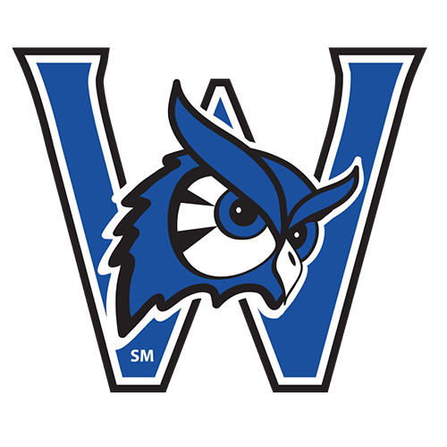 http://usphl.com/wp-content/uploads/2025/03/cropped-usphl_final_Final.png